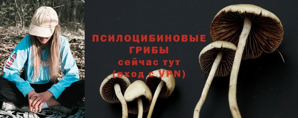 ешки Горно-Алтайск