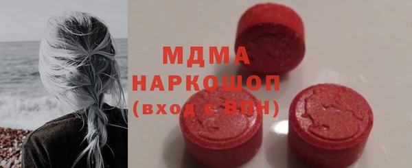 индика Горнозаводск