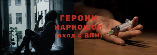 индика Горнозаводск