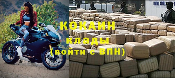 индика Горнозаводск