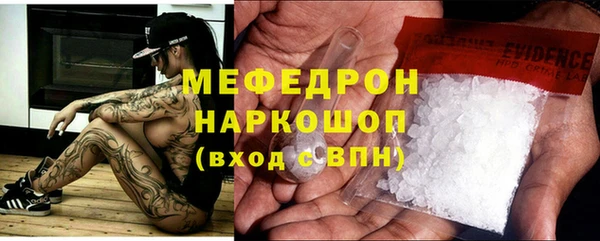 индика Горнозаводск