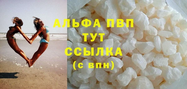 индика Горнозаводск