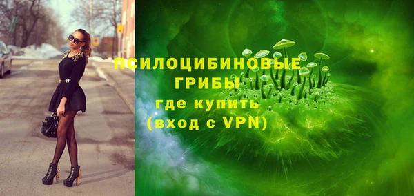 винт Гусиноозёрск
