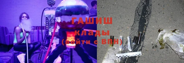 индика Горнозаводск